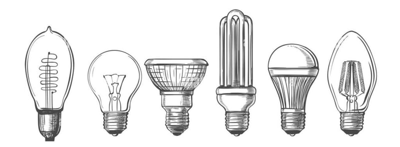 bulbs-1024x378