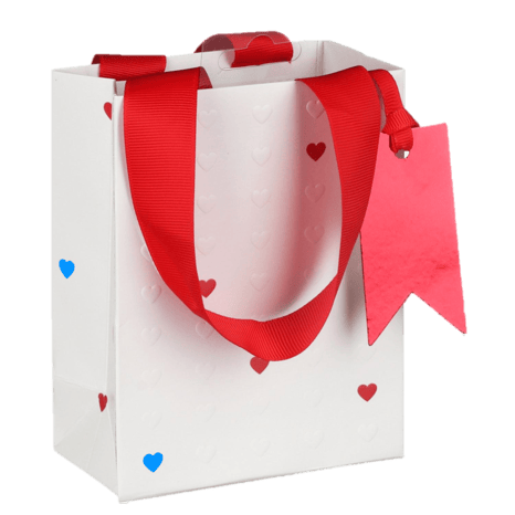 gift-bag-768x768