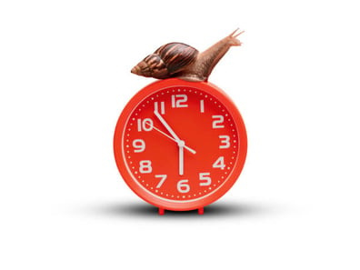 snail-clock-isolated-on-white-background-planning-and-waiting-concept