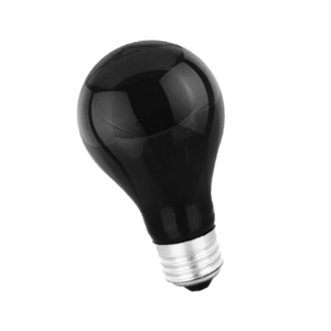 black bulb