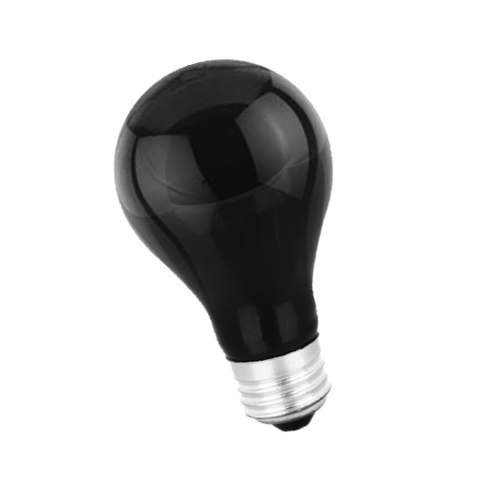 black bulb black bulb